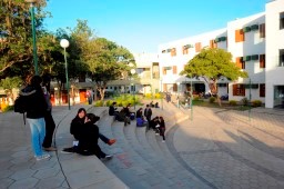 Vida Universitaria